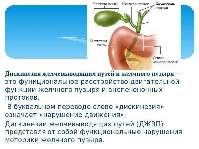 Желчный пузырь протокол