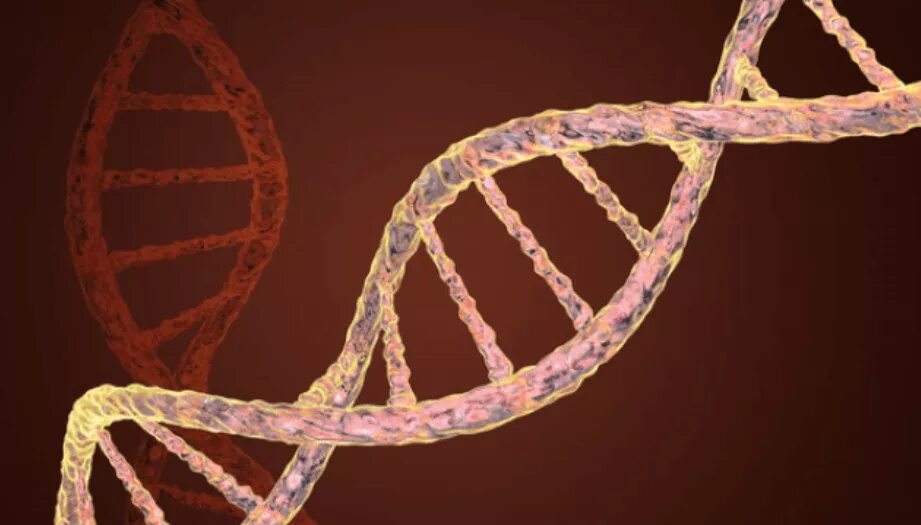 Разрушенное днк. Мутационная ДНК. Мутагенез ДНК. Клетка ДНК. Мутации в геноме человека.