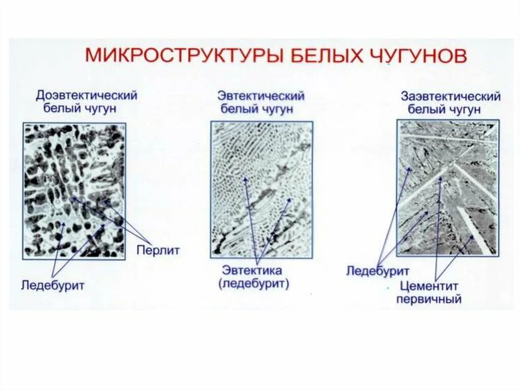 Белый чугун виды. Серый чугун форма графита. Форма графита в белом чугуне. Форма графитовых включений в сером чугуне. Чугун сч35 форма графита.