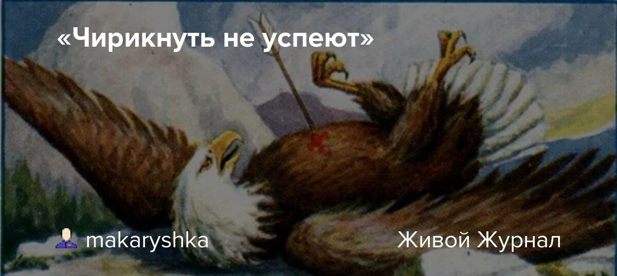 Сегодня у окошка чирикнул воробей. Дивизия кричащие Орлы. Кричащие Орлы 101. Кричащие Орлы в Румынии. Нам Орлы кричали в спину.