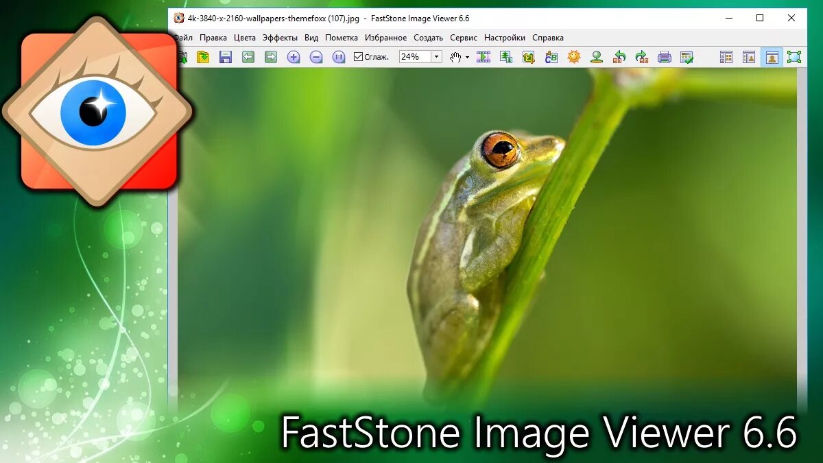 Фаст вьювер. FASTSTONE image. Image viewer. FASTSTONE viewer. FASTSTONE image viewer логотип.