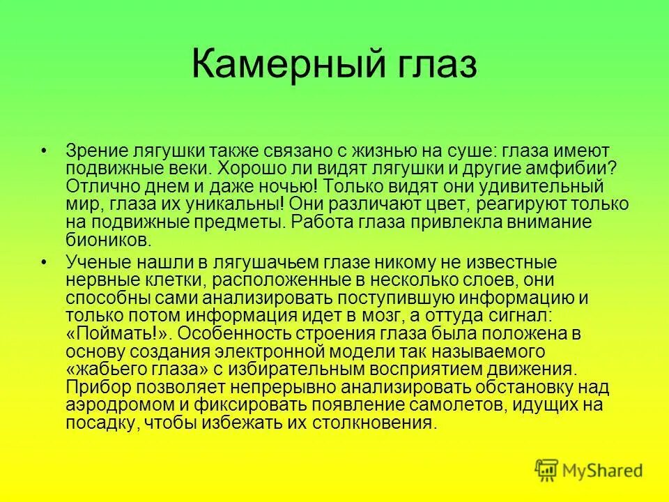 Также связано. Камерный глаз животных. Камерные глаза. Как видят мир лягушки. Актуальность проекта камерный глаз животных.