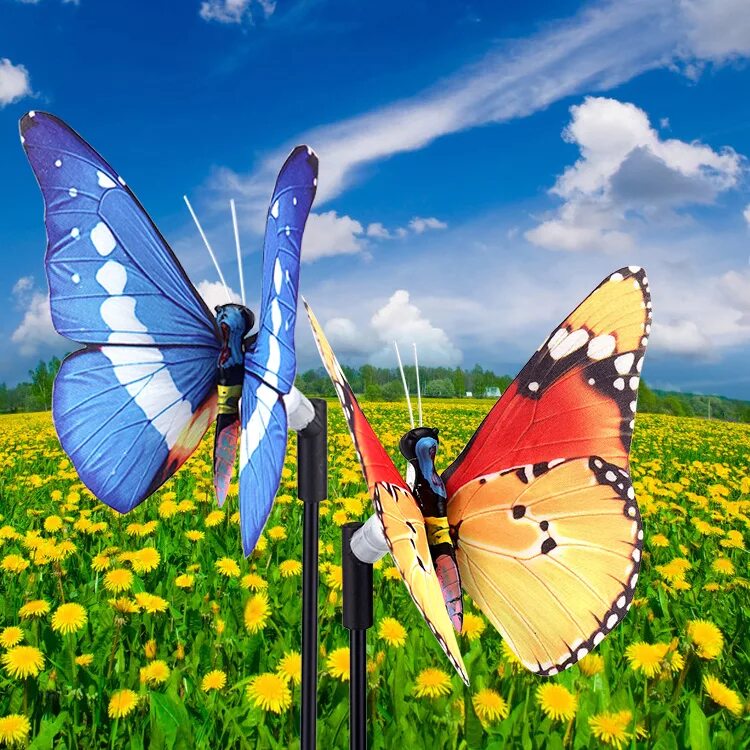 Порхающие бабочки. Яркие бабочки. Бабочка в солнечных лучах. Солнышко бабочки. Бабочки на лугу.