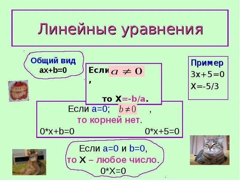 Проект линейные уравнения с одной переменной
