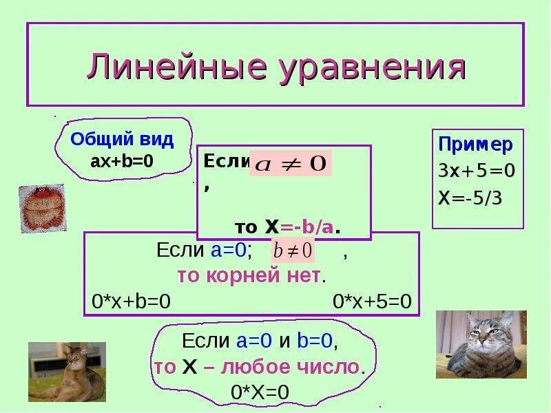 Простые линейные уравнения. Линейные уравнения примеры. Простейшие линейные уравнения. Линейные уравнения таблица. Линейные уравнения 11 класс