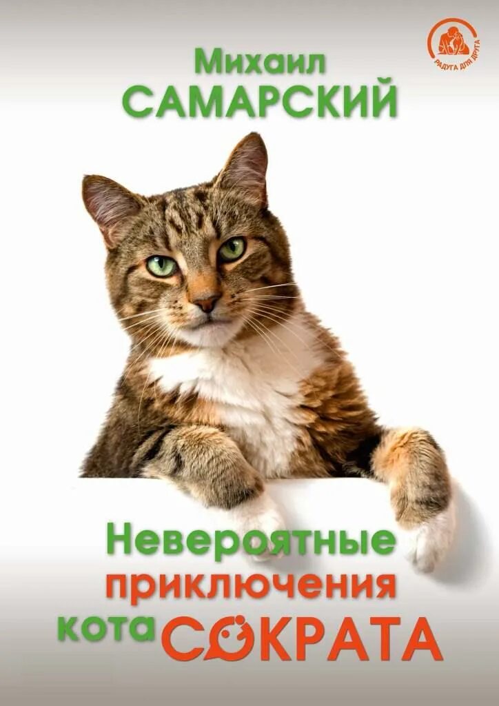 Книга приключения кота сократа. Книга приключения кота сократа. Самарский невероятные приключения кота-сократа книга. А. Книга приключения кота сократа.