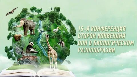 Глобальное биоразнообразие