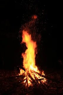 На опушке леса горел видневшийся издали костер