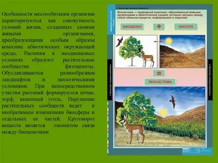Совокупность условий среды и живых