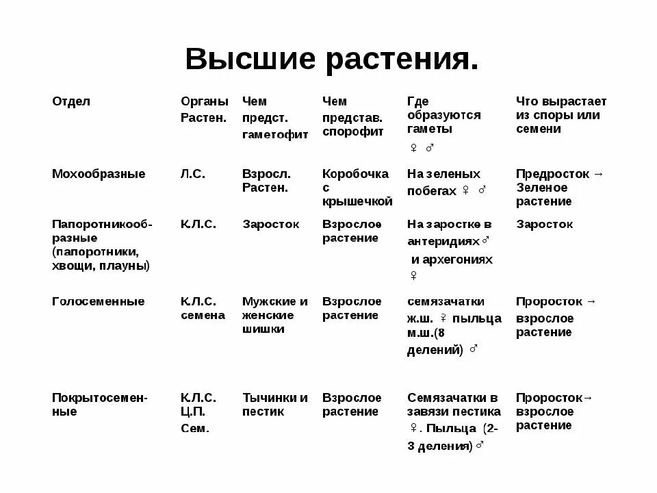 Высшие споровые растения таблица. Сравнительная характеристика высших растений. Сравнительная характеристика отделов высших споровых растений. Высшие споровые растения сравнительные характеристики. Признаки различий между плаунами и хвощами