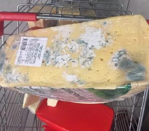 Магазин плесени. Сыр с плесенью Спар. Испорченные плесенью продукты. Испорченный сыр. Испорченный сыр с плесенью.