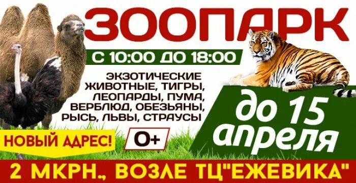 Билет в зоопарк москва цена 2024. Билет в зоопарк. Передвижной зоопарк. Билет в зоосад. Промокод в Московский зоопарк.