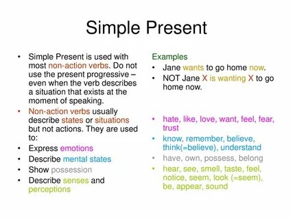 Present simple actions