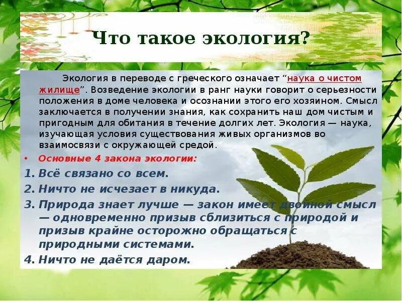 Экологическая презентация. Окружающий мир экология. Алэкология это экология. Экология это наука. Экологическая презентация.