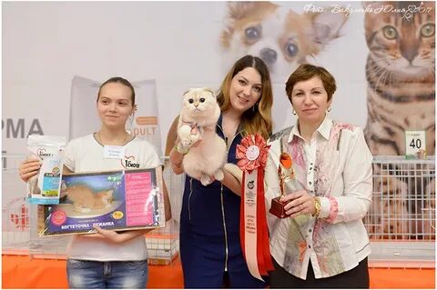 Выставка в созвездии бийск
