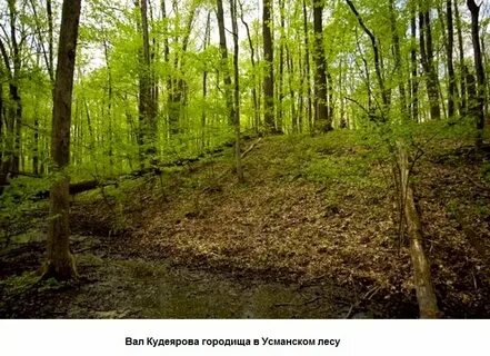 Вал леса
