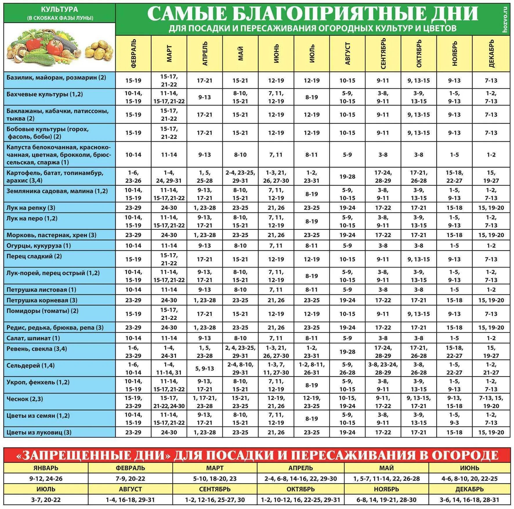 Лунный календарь огорода на апрель. Лунный календарь на май огородника и садовода 2021. Календарь садовода лунный календарь 2021. Благоприятныеидни для поспдки. Благоприятные дни для посадки.