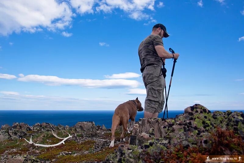 странствующий без цели