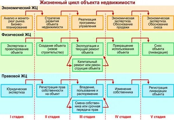 Жизненный цикл документа стадии. Этапы жизненного цикла недвижимости. стадии жизненного цикла объекта недвижимости. этапы жизненного цикла объекта недвижимости. жизненный цикл объектов недвижимого имущества.