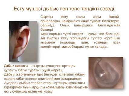 Жеке және үйде жасалған вагинальды фотосуреттер