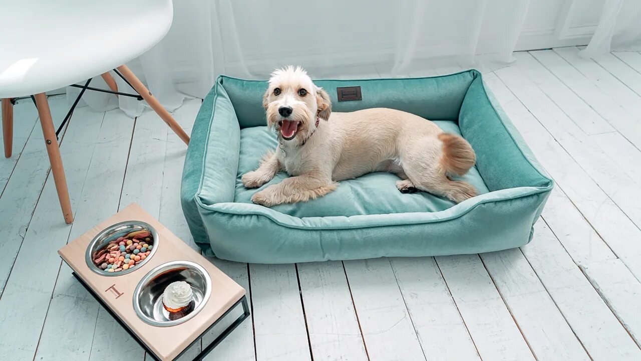 Лежанка Эллис LMK-9291. Pet Bed лежанка для собак. Место для собаки. Спальное место для собаки. Лежанка pets