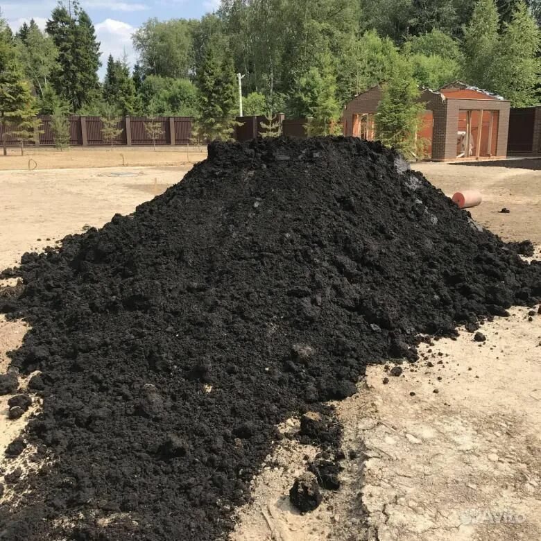 воронежский район чернозем. чернозем 2023 воронеж. разрез почвы чернозем. чернозем 2001. черноземная почва воронежа.