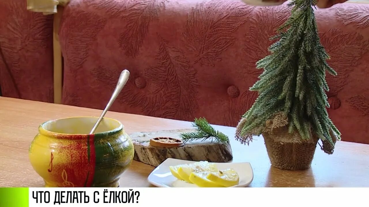 Когда убирать елку искусственную после нового. Убираем елку. как убрать елку.