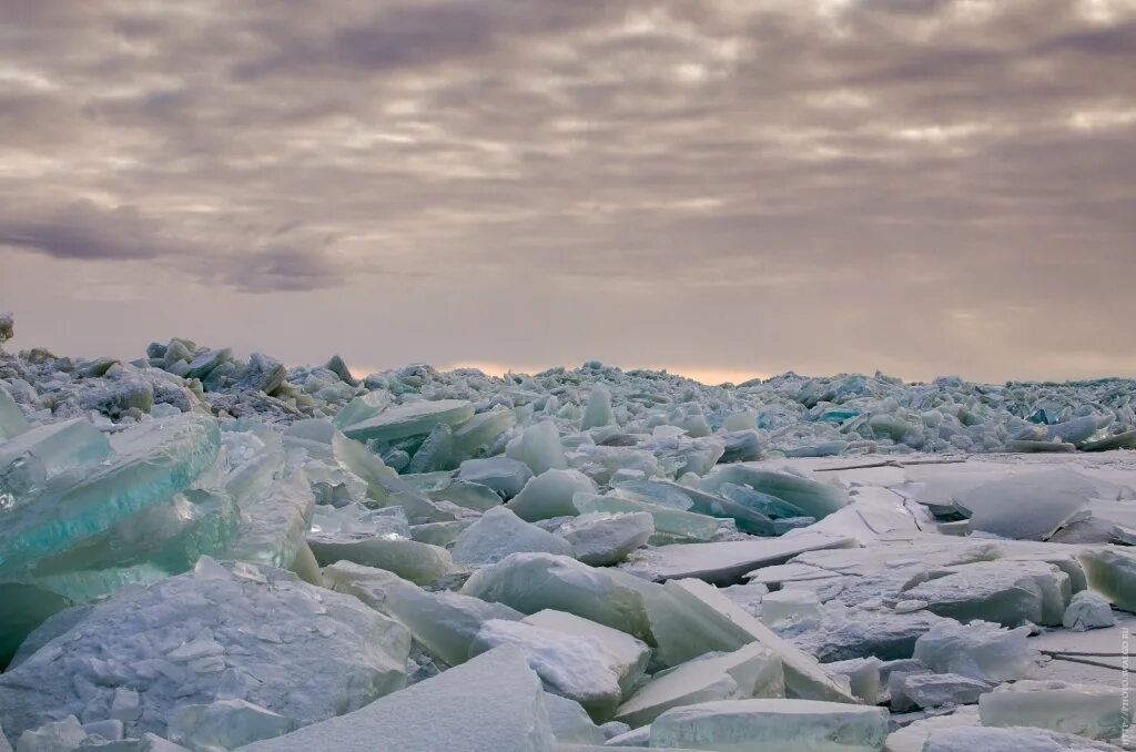 Северный ледовитый океан хаос торосов долгая. Торосы на финском заливе. Ледяные Торосы на финском заливе. Торосы на Чудском озере. Финский залив зимой Торосы.