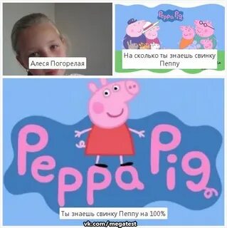 Правда свинки