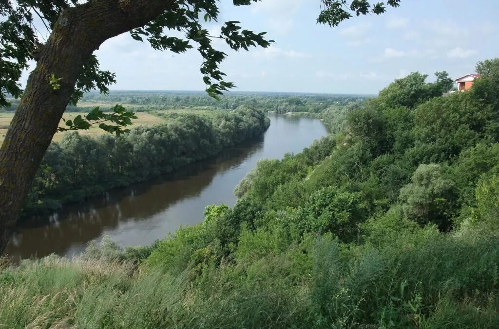 номер такси десна в трубчевске. алло такси борисоглебск. такси десна трубчевск. такси десна трубчевск. река десна трубчевск.