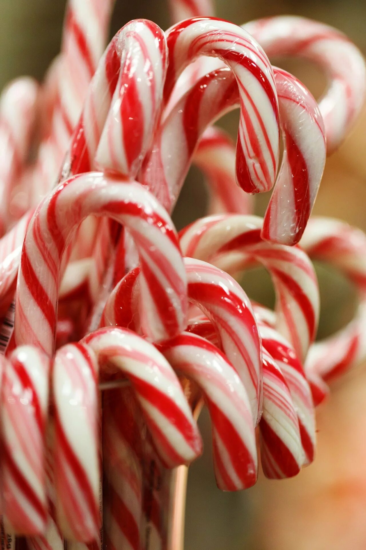 Красные карамельки. Карамельная трость – Candy Cane. Леденец Кэнди Кейн. Кэнди Кейн Рождественские конфеты. Рождественская карамельная трость.