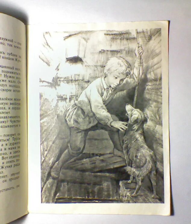 н. детство тёмы николай гарин-михайловский. николай георгиевич гарин-михайловский детство темы. детство темы портрет героя. н г гарин-михайловский детство тёмы рисунки.