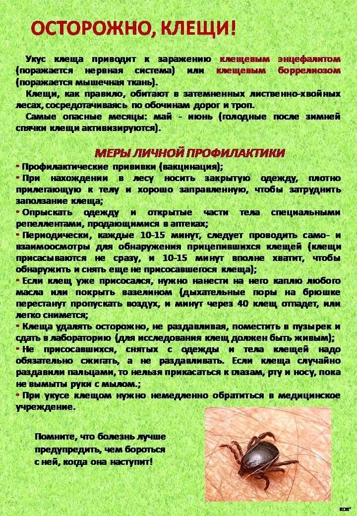 Клещи информация. Осторожно клещи. осторожно клещи памятка. детям о клещах. памятка осторожно клещ.