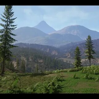 Realistic environment