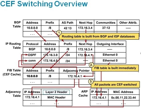 CEF таблица. Таблица BGP. Cisco Express Forwarding (CEF). CEF FIB Rib.