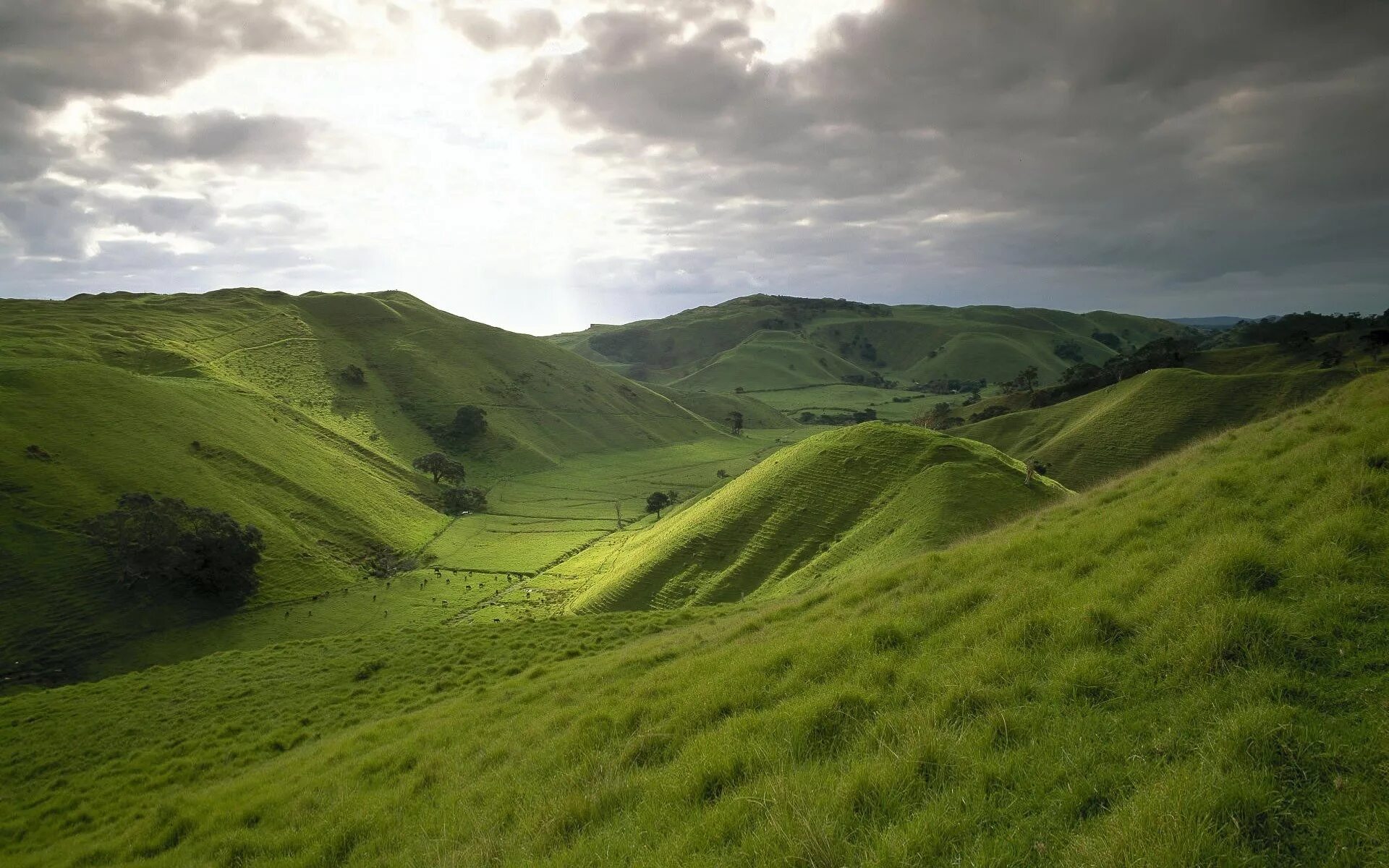 Круглые низкие холмы. Штирийско-бургенландская Холмистая равнина. Green Hills зеленые холмы. Холмы и Луга Ирландии. Холмы Бомбей новая Зеландия.
