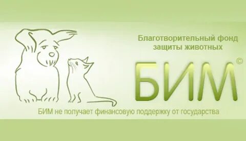 Фонд защиты бездомных животных