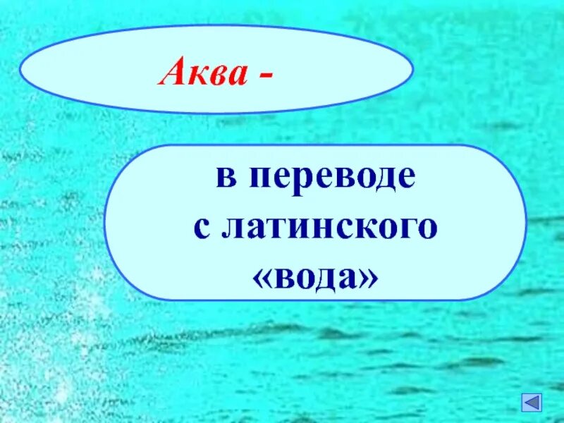 Aqua перевод на русский. Слова с Аква. Аква на латинском. Аква в переводе с латинского. Значение слова Аква.