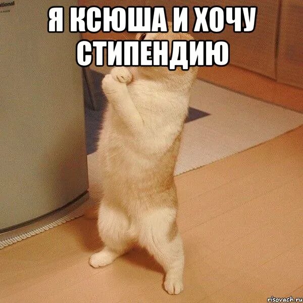 Извини найди пожалуйста. Простите меня. мем прости меня пожалуйста. прости меня дуреху. прости меня идиотку.