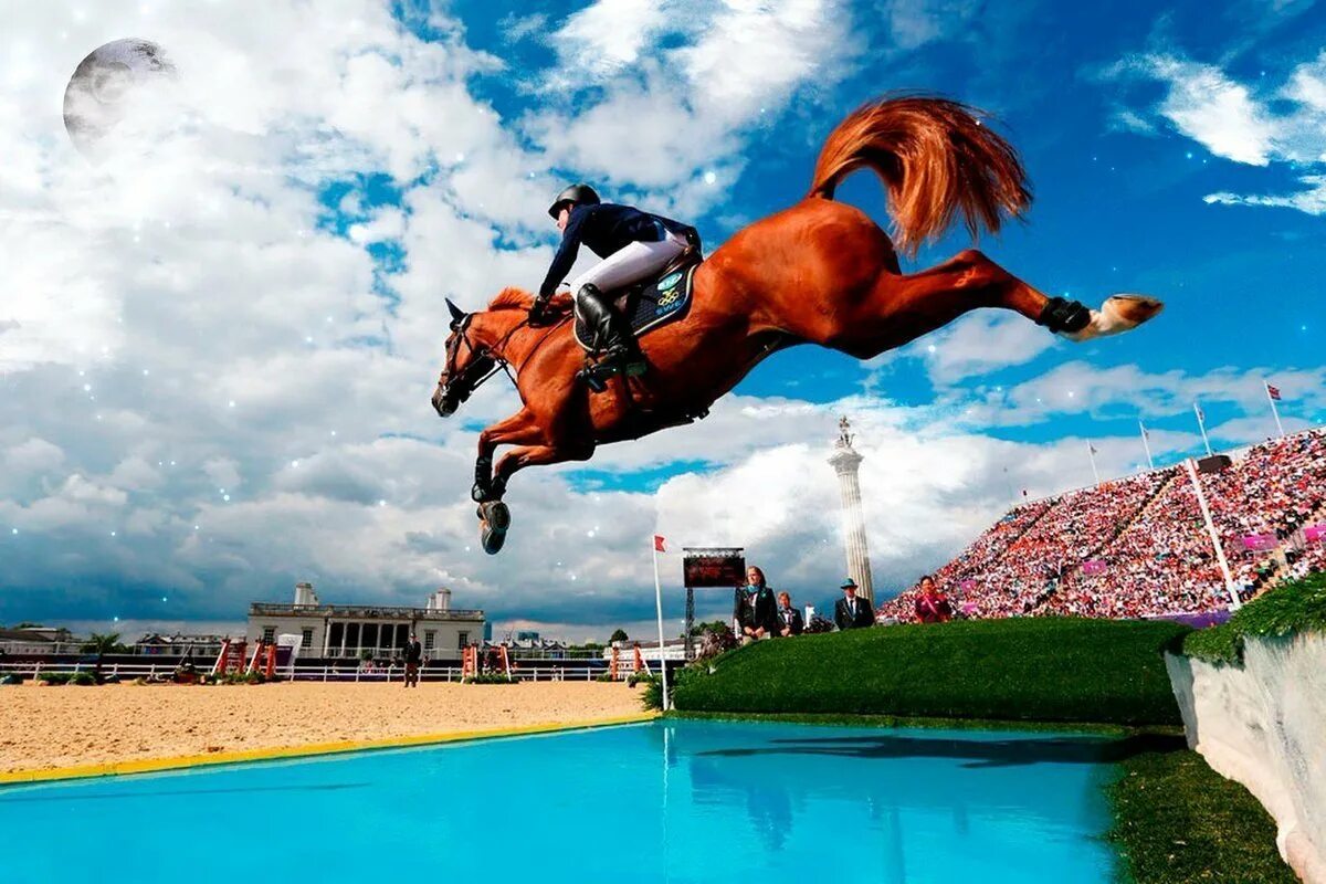Скачет мс. Стипль-ЧЕЗ конный спорт. Лошадь прыгает. Лошадь в прыжке. Конкур конный спорт.