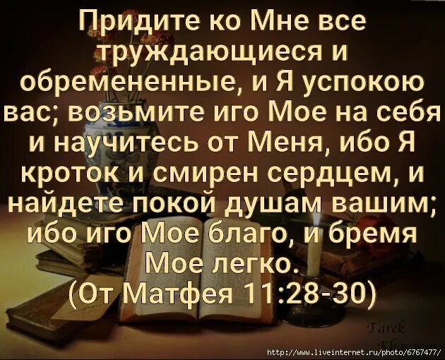 Читать евангелие от матфея 16. Матфея 11 28. евангелие от матфея глава 28. евангелие от матфея глава 11. библия от матфея глава 5.