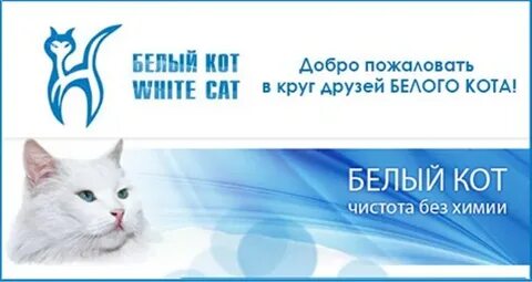 Группа белый кот