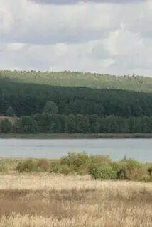 Приозерное нижегородская область богородский