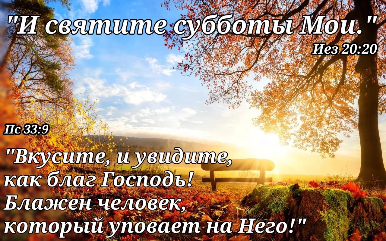 Благое вижу