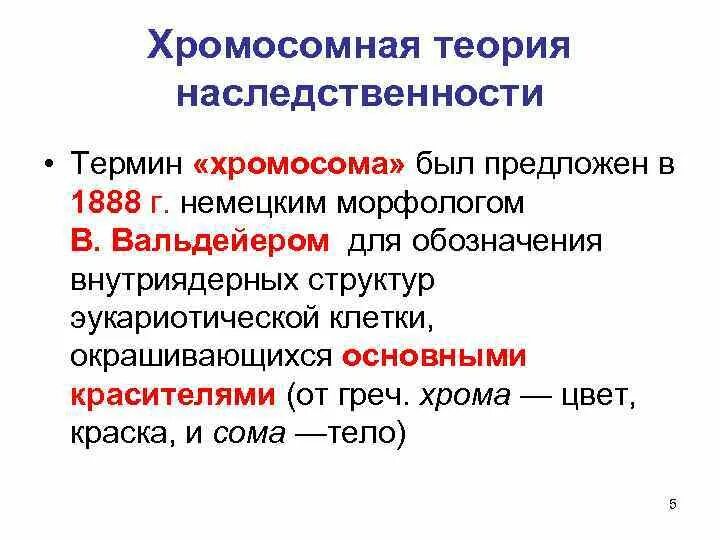 Положениями хромосомной теории наследственности является. Закон Моргана хромосомная теория наследственности кроссинговер. Хромосомная теория наследования кратко. Конспект по биологии 9 класс хромосомная теория. Хромосомная теория наследования пола.