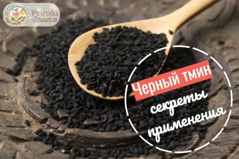 Польза семена черного. Черный тмин. Семена черного тмина. Черный тмин полезные. Семена черного тмина лечебного.