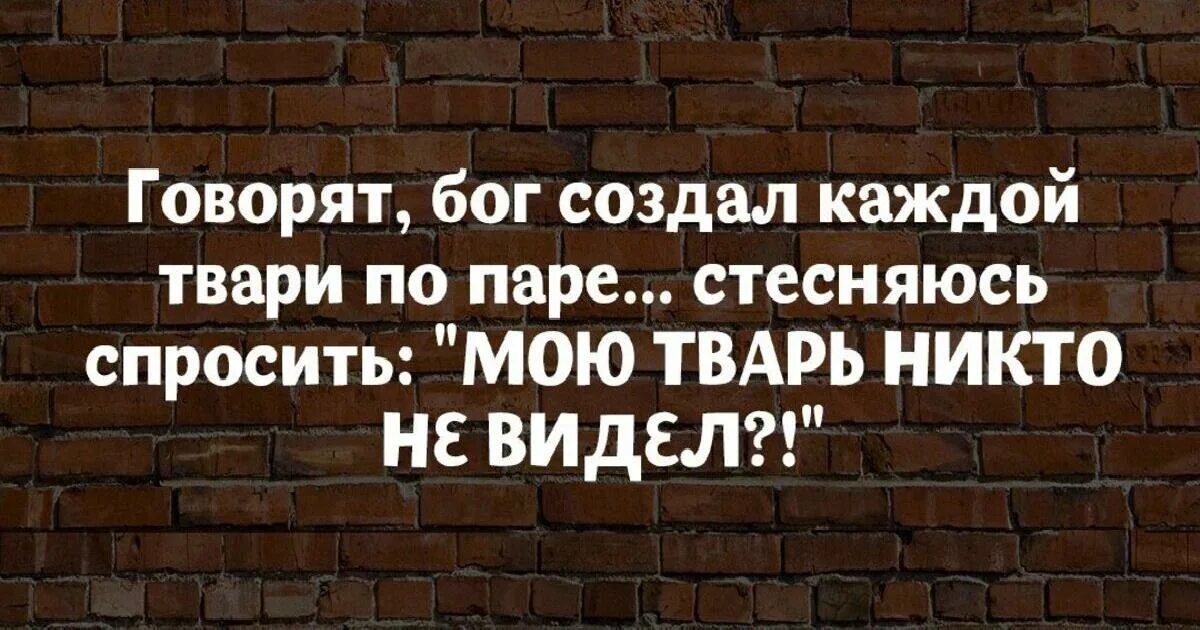 Жизнь несправедлива 2 часть. Прикольные цитаты о жизни с юмором. Веселые и Мудрые высказывания. Мысли цитаты смешные. Умные цитаты с юмором.