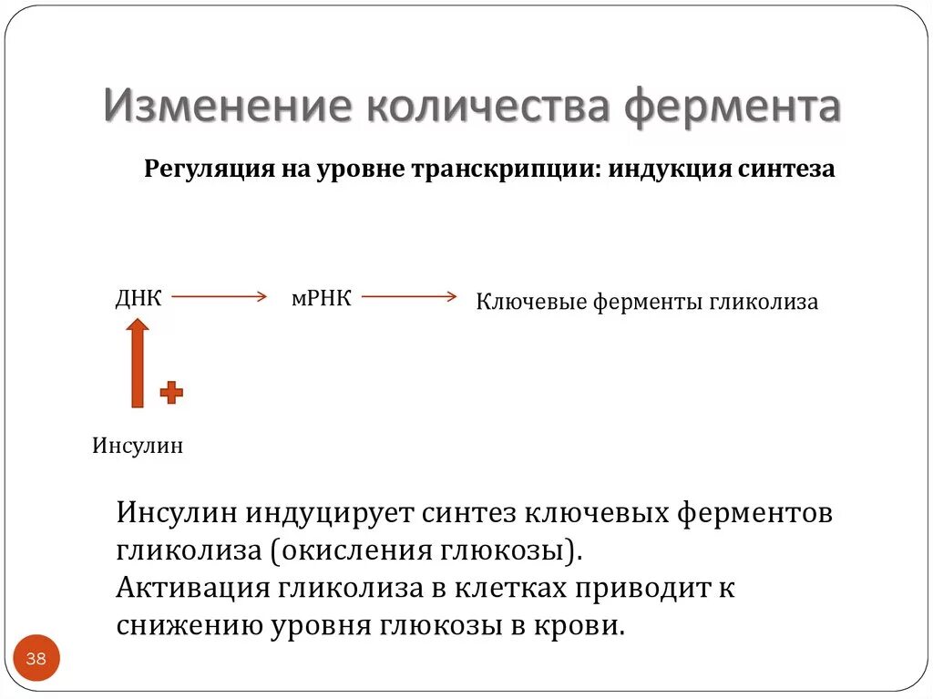 Пути регуляции активности фермента. Структуры регуляция активности ферментов. Механизмы регуляции ферментов биохимия. Механизмы изменения количества ферментов. Регуляция активности ферментов в организме..