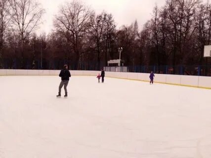 Каток роща