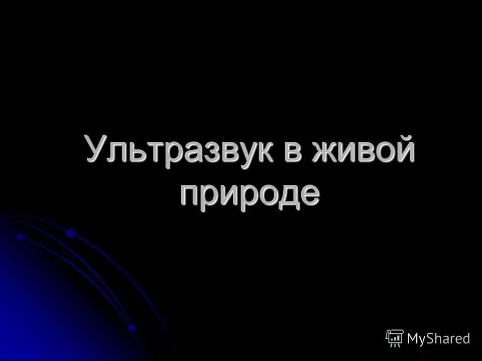 ультразвук эхолокация инфразвук. ультразвук и инфразвук в природе. звуки в живой природе презентация. ультразвук в живой природе. ультразвук в живой природе физика.